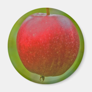 Apple Summer Red Magneet