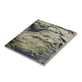 Apple Tree Bark Texture Tegeltje (Zijkant)