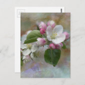 Apple Tree Blossom Briefkaart (Voorkant / Achterkant)