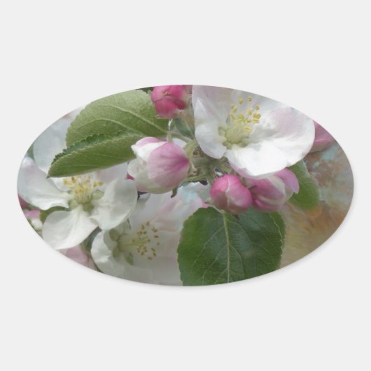 Apple Tree Blossom Ovale Sticker (Voorkant)