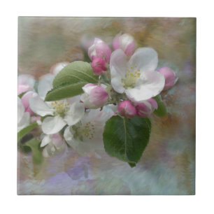 Apple Tree Blossom Tegeltje