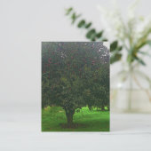 Apple Tree Briefkaart (Staand voorkant)