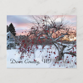 Apple Tree Briefkaart