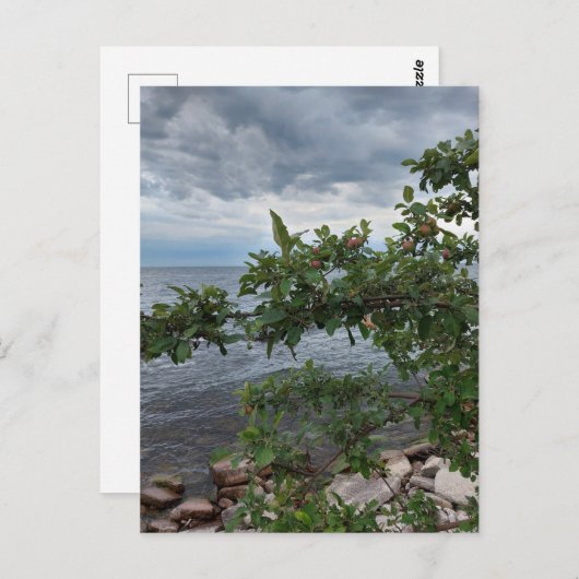 Apple Tree en Stormy Day op het meer Briefkaart (Voorkant / Achterkant)