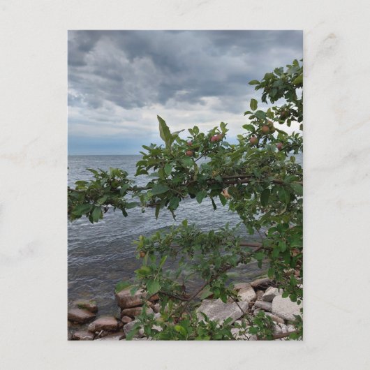 Apple Tree en Stormy Day op het meer Briefkaart (Voorkant)