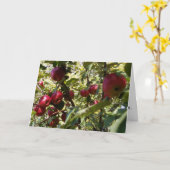 "Apple Tree" Gefeliciteerd Kaart (Gele Bloem)