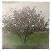 Apple Tree in Bloom Tegeltje (Voorkant)