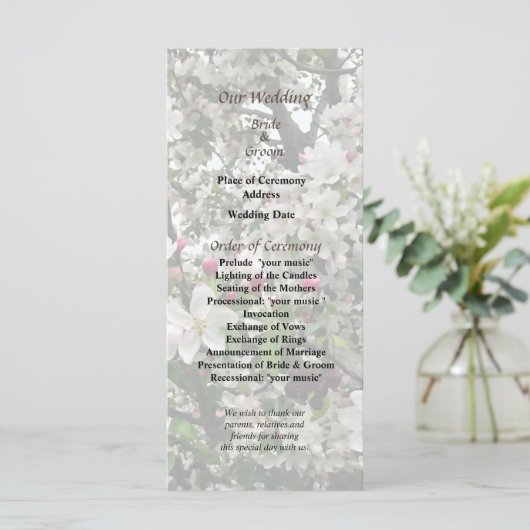 Apple Tree in Bloom Wedding Program Programma (Staand voorkant)