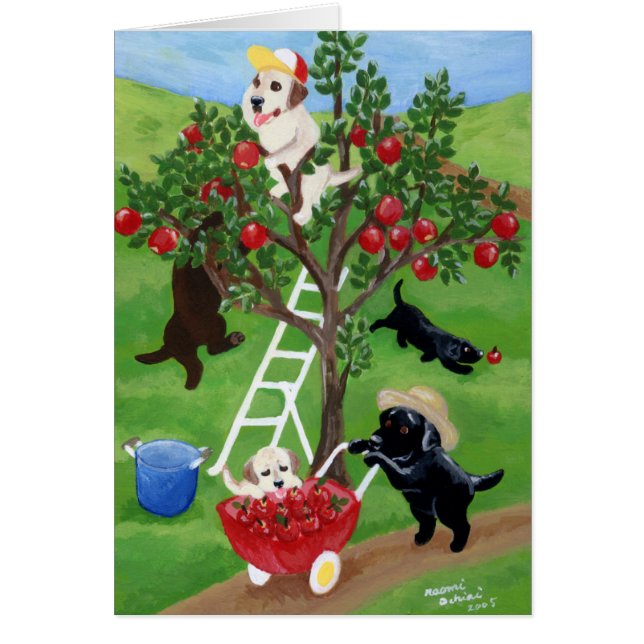 Apple Tree Labradors (Voorkant)
