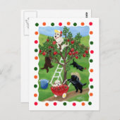 Apple Tree Labradors (punt) Briefkaart (Voorkant / Achterkant)