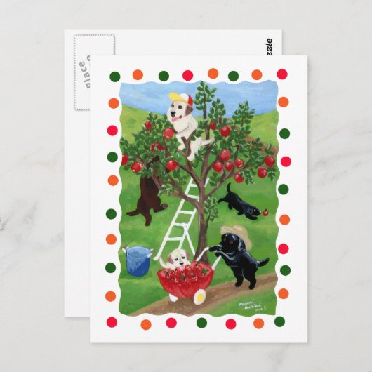Apple Tree Labradors (punt) Briefkaart (Voorkant / Achterkant)