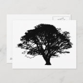 Apple Tree Silhouette Briefkaart (Voorkant / Achterkant)