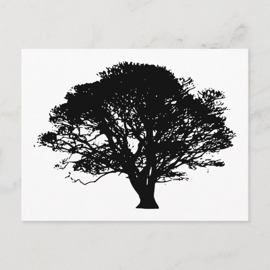 Apple Tree Silhouette Briefkaart (Voorkant)