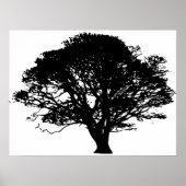 Apple Tree Silhouette Poster (Voorkant)