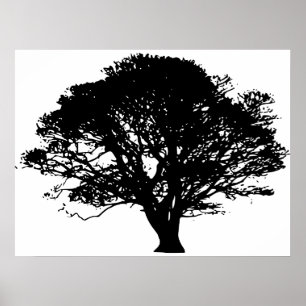Apple Tree Silhouette Poster