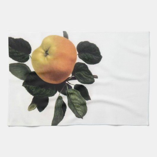 Apple vintage s'embranchent serviette de cuisine (Horizontal)