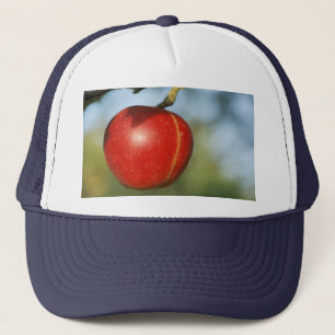 Apple vrachtwagenhoed trucker pet