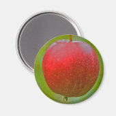 Apple Zomerrood Magneet (Voorkant / Achterkant)