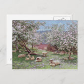 Appleblossom Briefkaart (Voorkant / Achterkant)