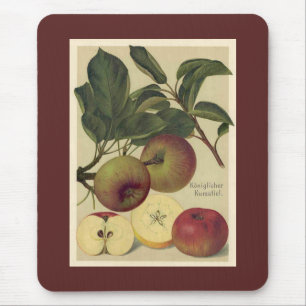 Apples Botanische Duitse illustratie Muismat