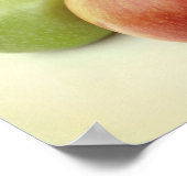 Apples Fruit Photo Poster (Hoek)