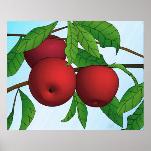 "Apples on a Branch"-druk met rand Poster