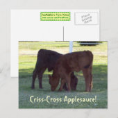 Applesauce Criss-Cross ! Carte postale Calques (Devant / Derrière)