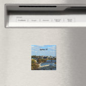 Appleton, schilderachtig WI-foto Magneet (Insitu (Vaatwasser))