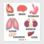 Apprendre Anatomie Éducative Accueil Sticker Ensem (Feuille)