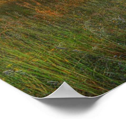 Apprenez d'hier..... affiche (Coin)