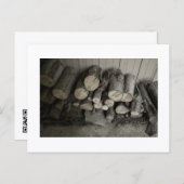 Approachable Wolf Post Card Print Briefkaart (Voorkant / Achterkant)