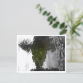 Approachable Wolf Post Card Print Briefkaart (Staand voorkant)