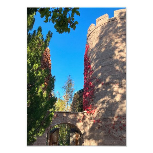 Approaching the Keep Foto Afdruk (Voorkant)