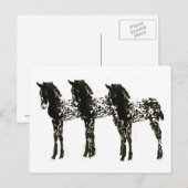 Appy Colts Briefkaart (Voorkant / Achterkant)