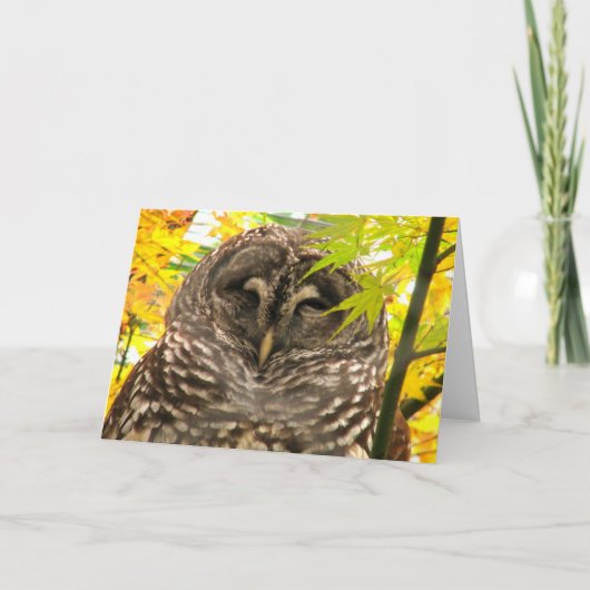 Appy Owlidays Feestdagen Kaart (Voorkant)