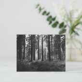 Après la carte postale pluie (Debout devant)