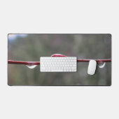 Après la pluie (Clavier et souris)