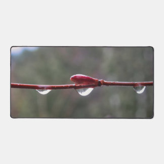 Après la pluie
