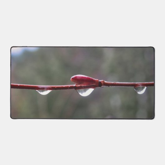 Après la pluie (Recto)