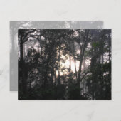 Après la tempête - Carte postale #2 (Devant / Derrière)