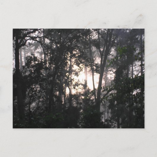 Après la tempête - Carte postale #2 (Devant)