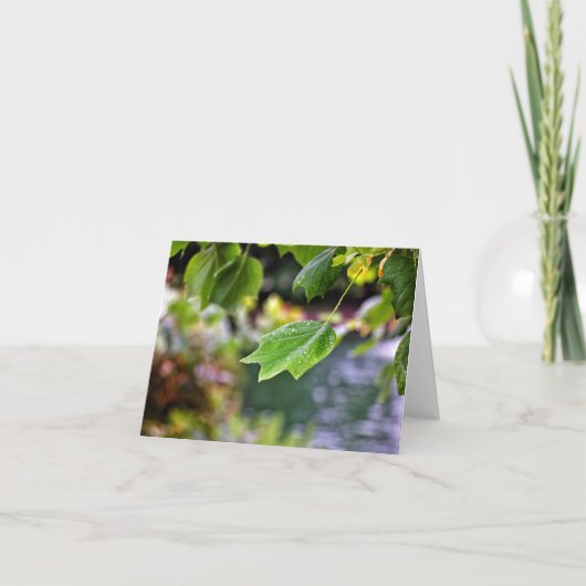 Après les cartes de note pluie (Devant)