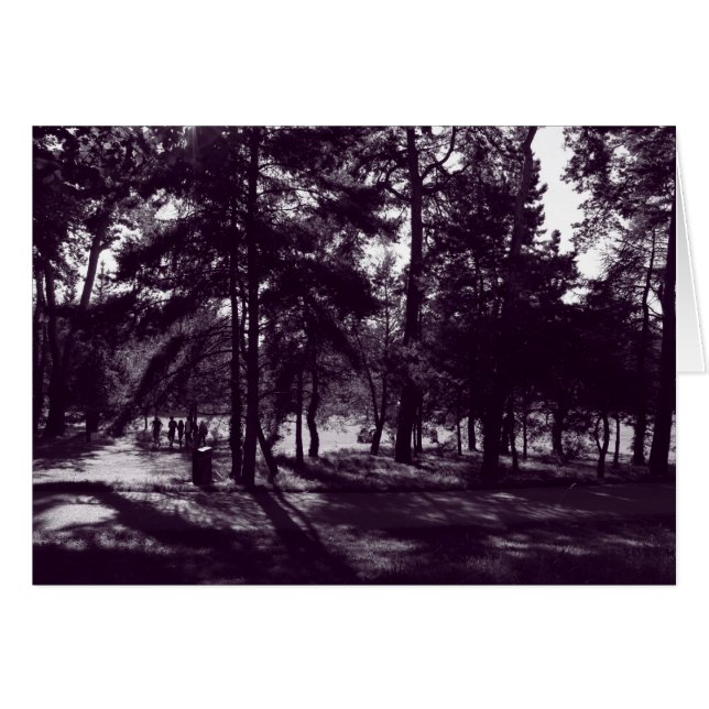 Après-midi dans le parc (Purple Toned BW) (Devant horizontal)