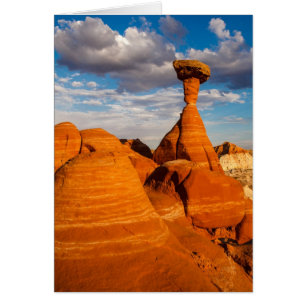 Après-midi de champignon