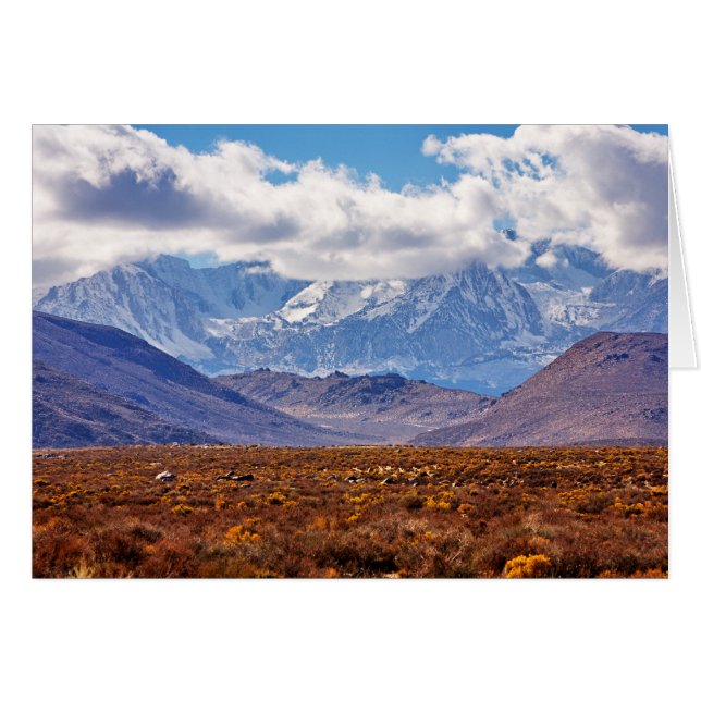 Après-midi du désert (Devant Horizontal)