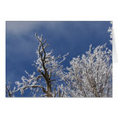 Après-midi Frosty Iowa (Devant horizontal)