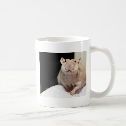 APRÈS TASSE DE CAFÉ (Droite)