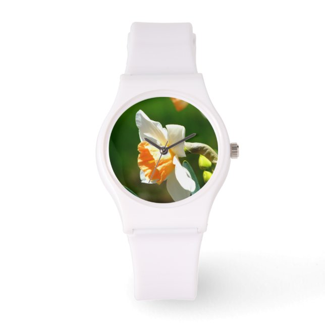 Apricot Daffodil montres (Recto)