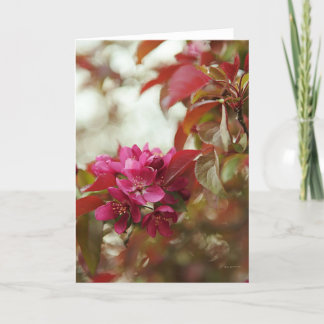 April Blossoms Blank Greeting Card Kaart