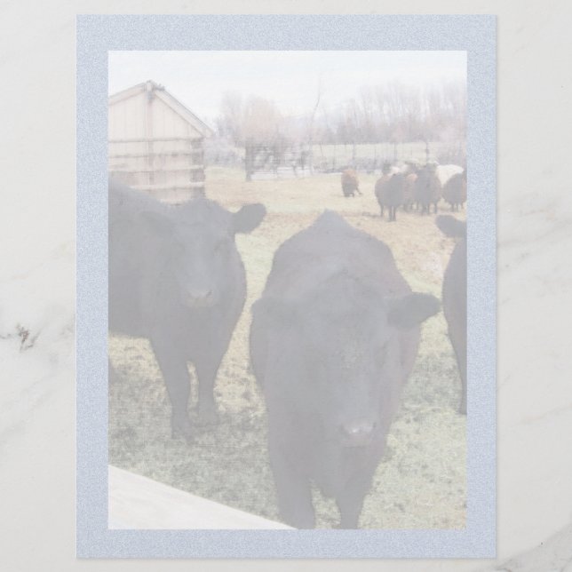 April Cattle (Voorkant)